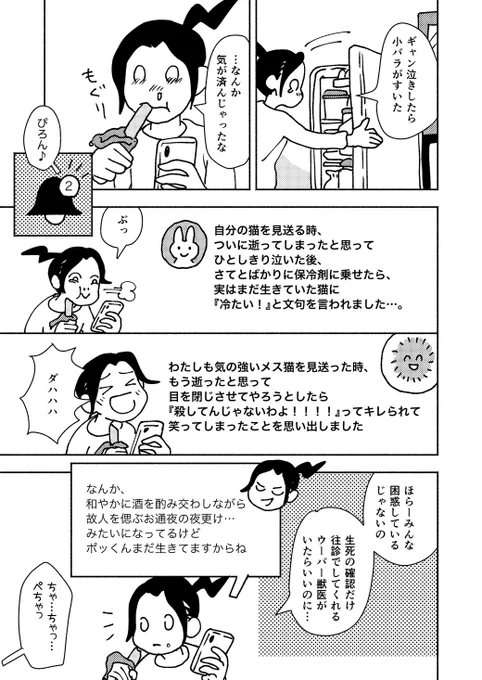『ポッケの旅支度』(8/10)

#考える猫遊び 