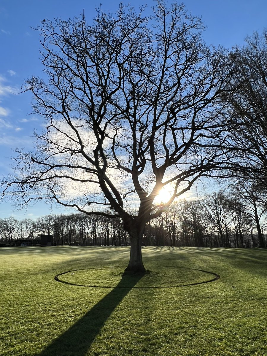 Cutting turf away from around trees to reduce strimming time and reduce the damage caused by strimming. This also protects exposed roots from driving mowers over the top of them. Looks nice too 👌🏻🌱