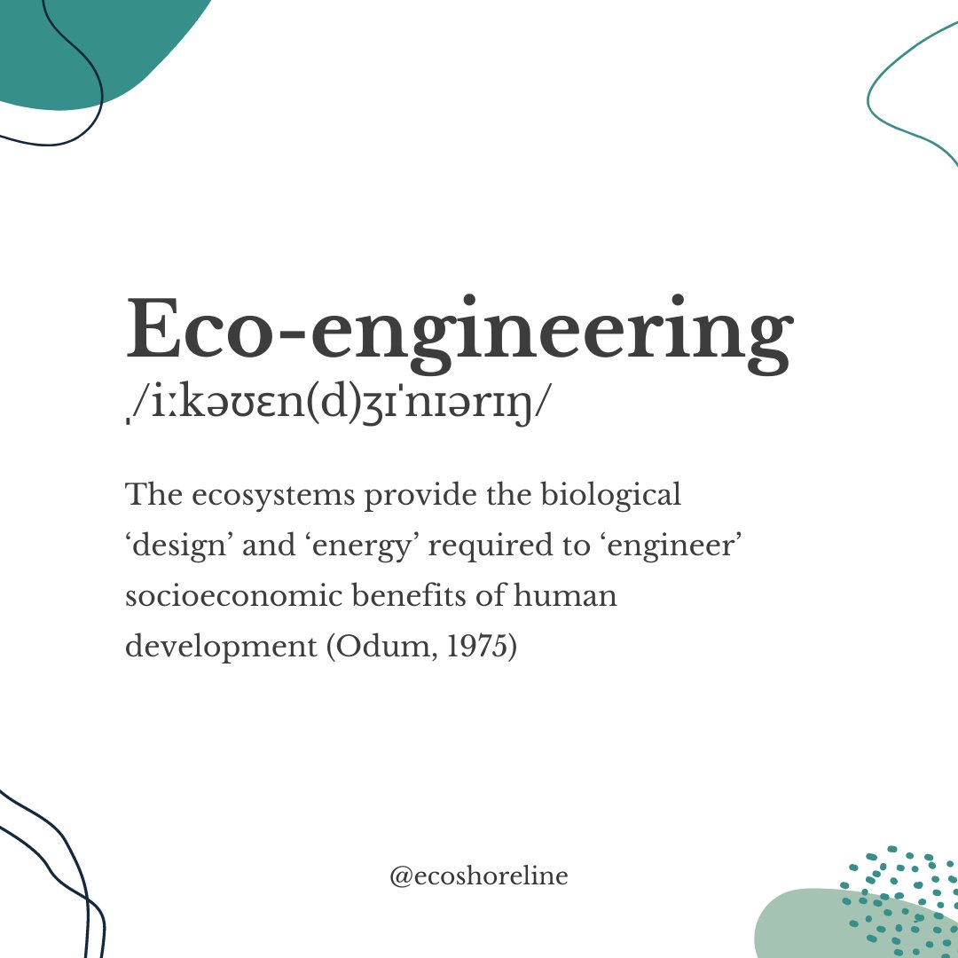 ecoshoreline's tweet photo. #ecoengineering101 Are you familiar with the concept of Eco-engineering?🤔

The ecosystems provide the biological ‘design’ and ‘energy’ required to ‘engineer’ socioeconomic benefits of human development (Odum, 1975)

#ecoshoreline #ecology #restoration #ecologicalrestoration https://t.co/hQmEb7LSCr