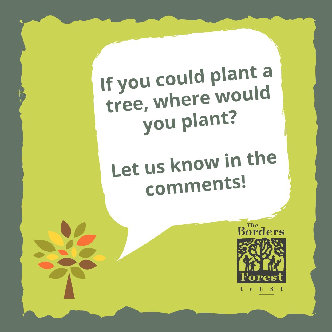 BordersForest's tweet photo. We have an exciting tree planting project launching on Friday, so we are asking, if you could plant a tree where would it be? and what type would you plant? Pop your answers in the comments!

#rewilding #treeplanting #getinvolved #scottishborders https://t.co/WRNoRaQWcR