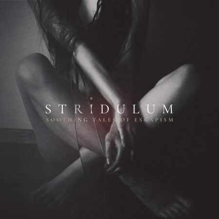 TerraRelicta's tweet photo. Stridulum - Soothing Tales Of Escapism (2021) - Review (by Tomaz):
Link: https://t.co/7hnFfsv1IJ
@STRIDULUM_band #Stridulum #review #darkwave #darkpop #synthwave #coldwave @ManicDepressRds #Poland #darkmusic #TerraRelicta https://t.co/w3hsIsNEbk