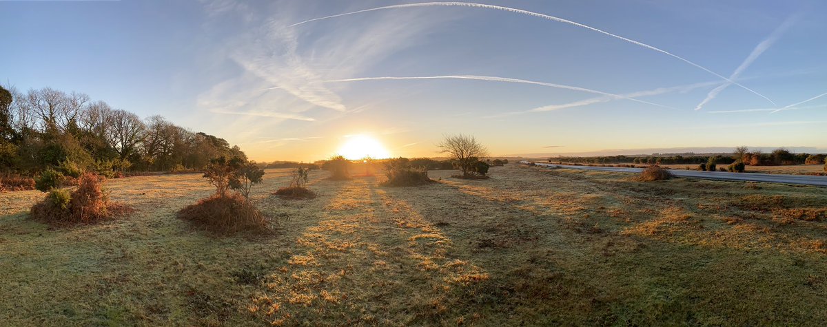 #nofilterneeded

This is the view at the end of our road.. ☀️🌳

<a href="/fullers/">life</a> <a href="/visit_hampshire/">Visiting Hampshire</a> @visitdorsetofficial <a href="/newforestnpa/">New Forest NPA</a> #newforest #sunrise #wintersun #stunning #forestlife #burley