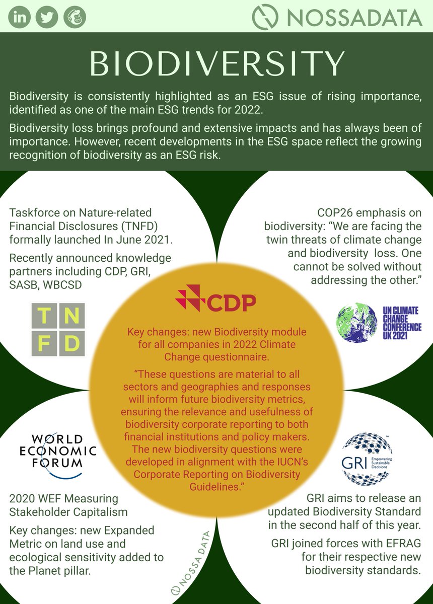 Nossa Data tweet media