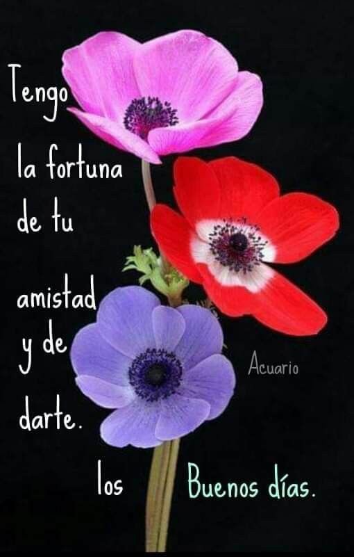 <a href="/Jos56473398/">José</a> Buenos días guapo feliz miércoles 😊💋❤☕