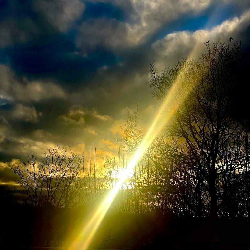 forevergifted11's tweet photo. Always magical but today theres something special about the sky. 

How often do you look up and just take it all in. 

Each morning as I have my morning cuppa I either sit outside or sit by the window so that I can take in the beauty. 

Start your day wi… https://t.co/TKwZ3OeZLI https://t.co/MJ2x1eH4b4