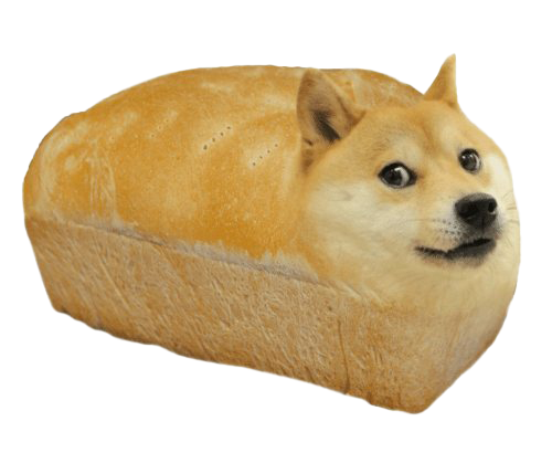 DooggiesNFT's tweet photo. GM!

I baked something today.

What should I call it? https://t.co/KWf5R6JLUy