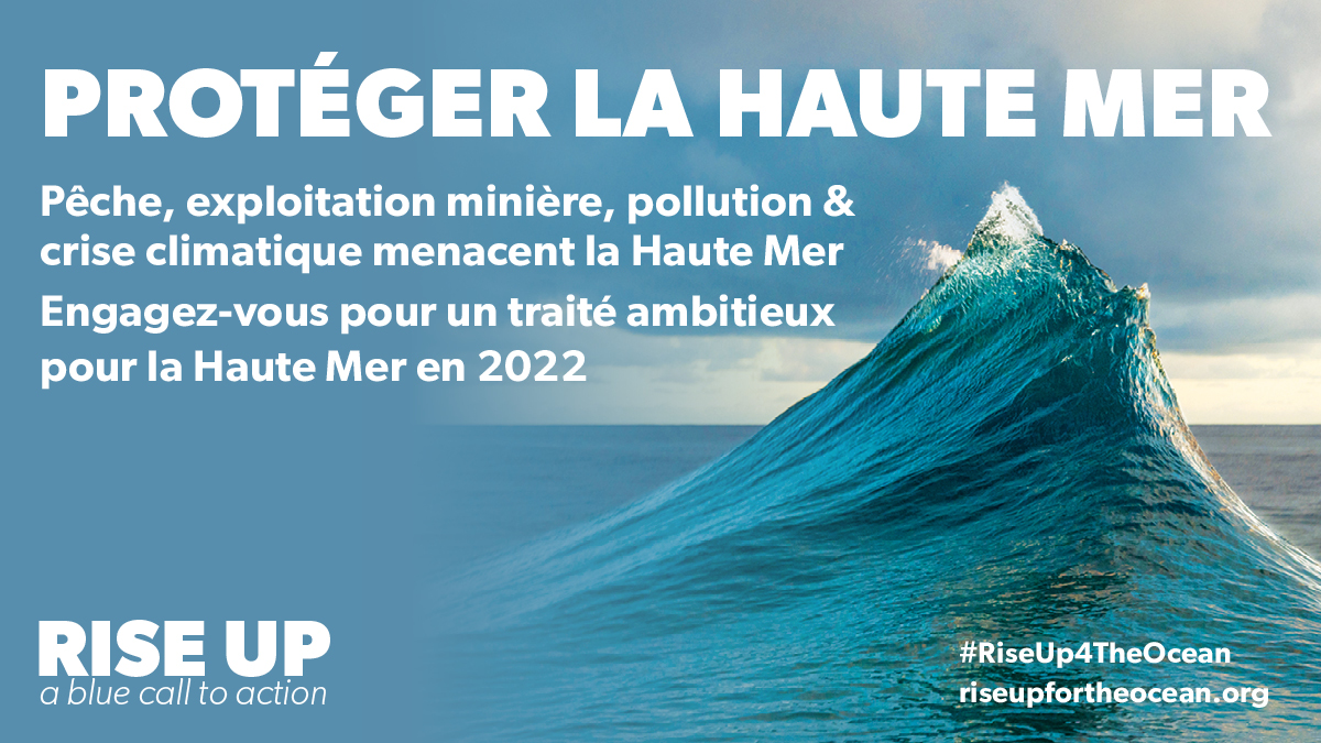 🇫🇷 Le One Ocean Summit débute aujourd'hui à Brest. 
📢 Nous appelons les Gouvernements à s'engager sans délai pour protéger la haute mer dès cette année
➡️ Notre appel avec <a href="/RiseUp4theOcean/">RISE UP - A Blue Call To Action</a>: bit.ly/3HCQbS5 #OneOceanSummit #RiseUp4TheOcean #BBNJ #NoPlastic #HighSeas