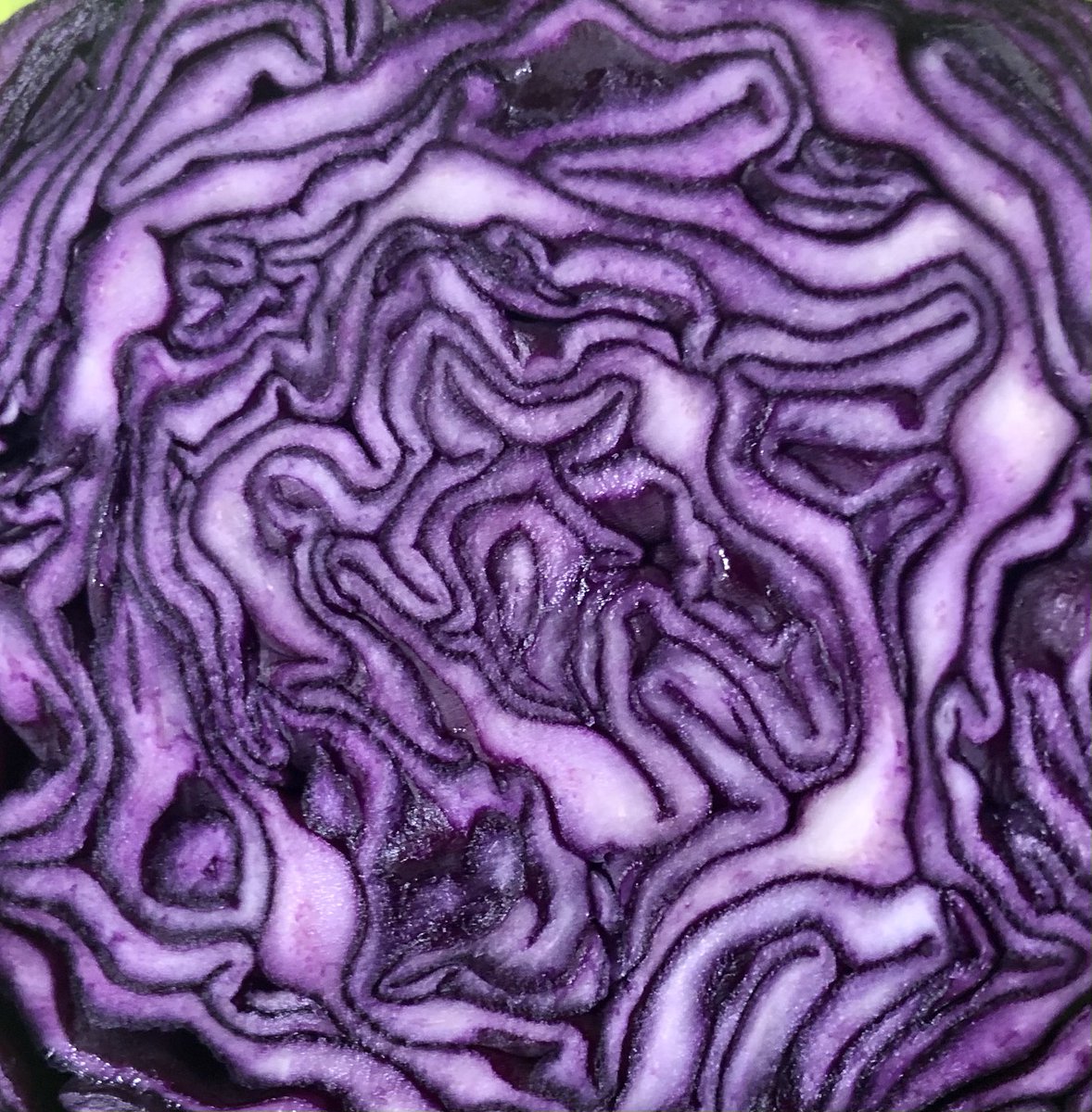 Allison Tait tweet media