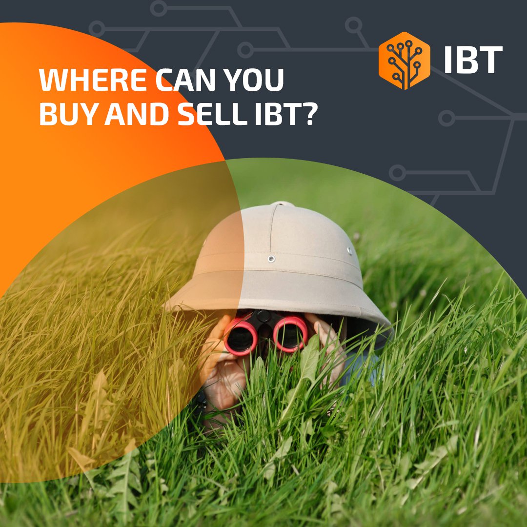 IBT_News's tweet photo. ❓ Where can you buy IBT tokens? You can’t — yet! We’re finalizing the platform and we’ll let you know the details of the launch in advance (just one more month to wait, more or less). We can tell you for sure though that the PancakeSwap decentralized… https://t.co/7TraJ5YrAi https://t.co/TCPuU1G1L8
