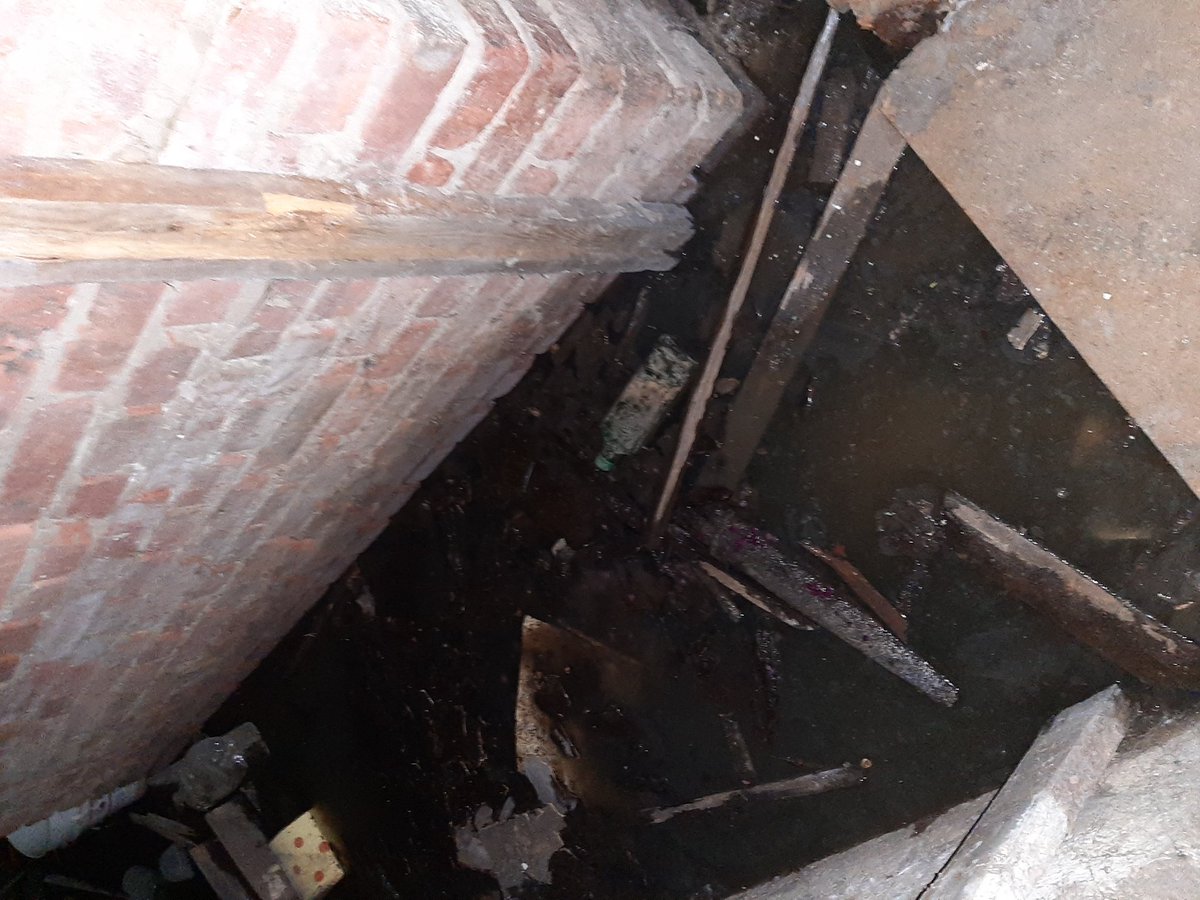 Светлана tweet media