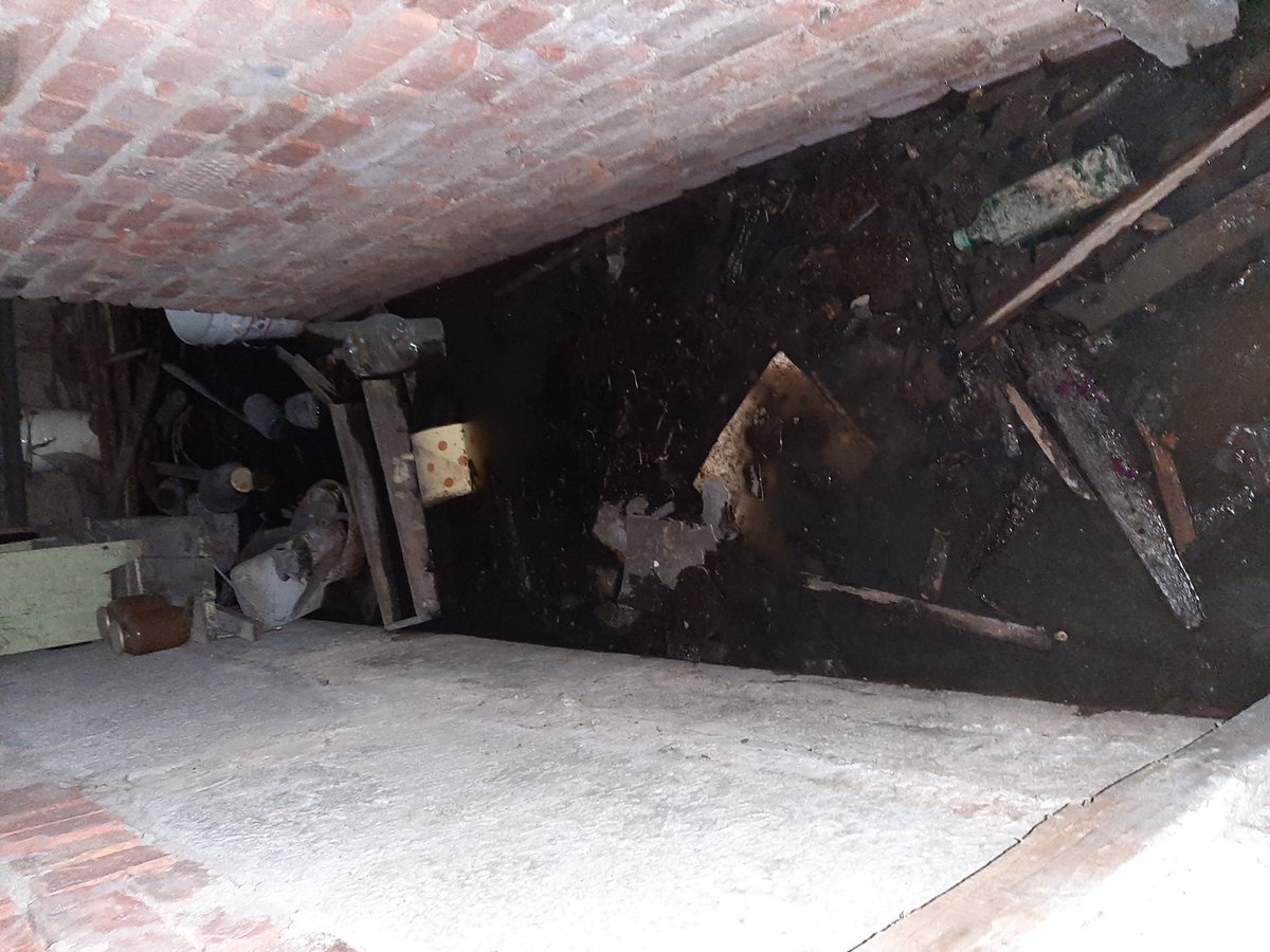 Светлана tweet media