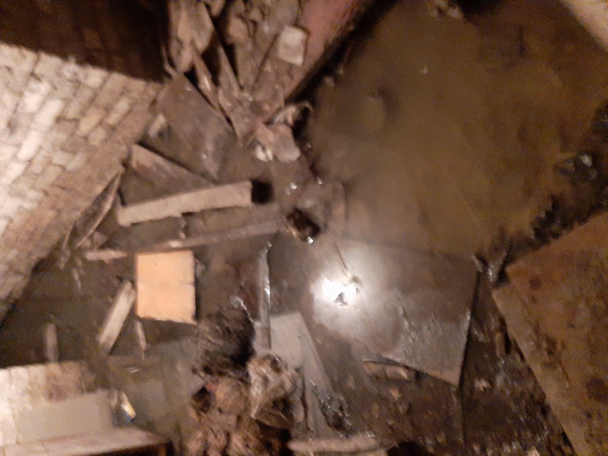 Светлана tweet media