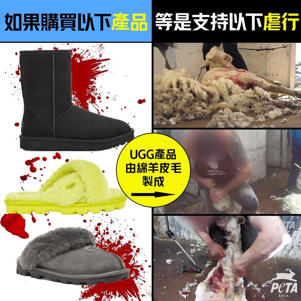 PETAAsiaTC's tweet photo. 你還在穿 @UGG 雪地靴嗎？⁠👢
⁠
羊毛產業裡，小羊被毆打和殺死，僅為了製作這些靴子和其他羊毛製品。 

保暖毋須以殘害動物為代價，選購 #純素時尚 衣物，讓生活由內而外真正暖起來🐑💛⁠
⁠

#UGGly #UGGs #Forever21 #WoolIsCruel #AsCruelAsFur #WearVegan #VeganFashion #NotOursToWear https://t.co/mprOjEjPqz