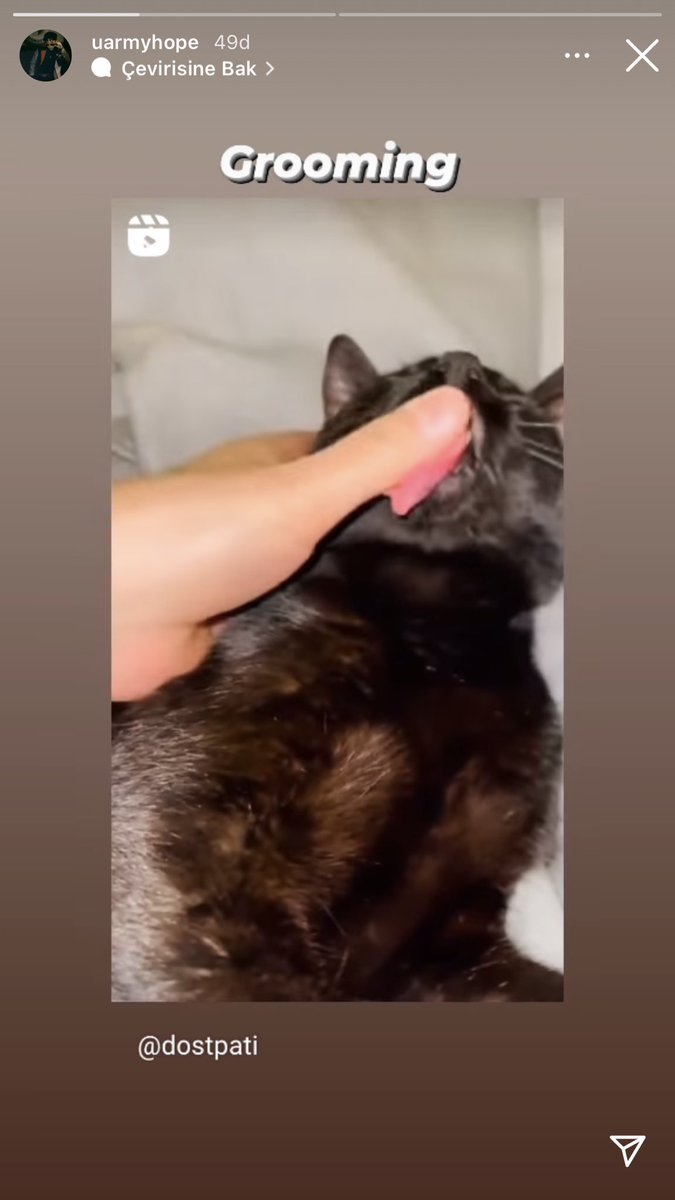 As bayrakları as as