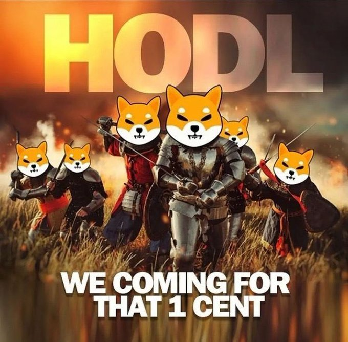 RohitKu65692910's tweet photo. #SHIB #shiba #SHIBARMY Good morning shib family. A different day, same dream. Let’s go to the moon together, all aboard! HODL!!!! 🚀🚀🚀 https://t.co/tCVXjYA8g6