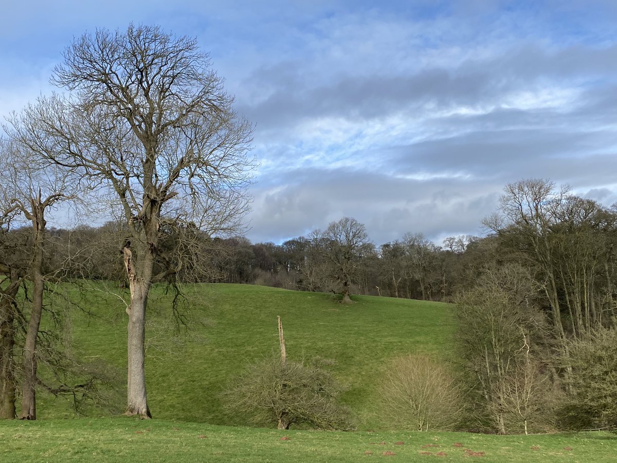 caaaperks's tweet photo. #treeclub #tuesdaywalk #sheepwalks https://t.co/MUtBKMyE7g