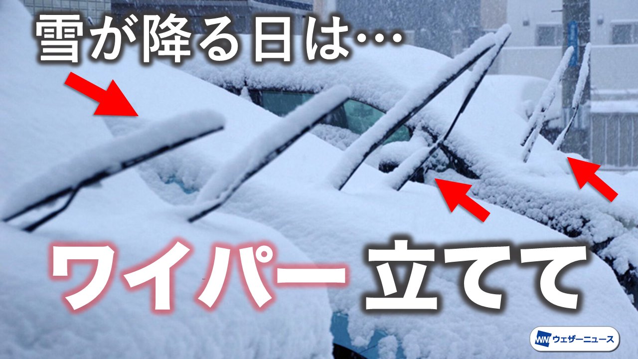 Mayumi Ok Twitter