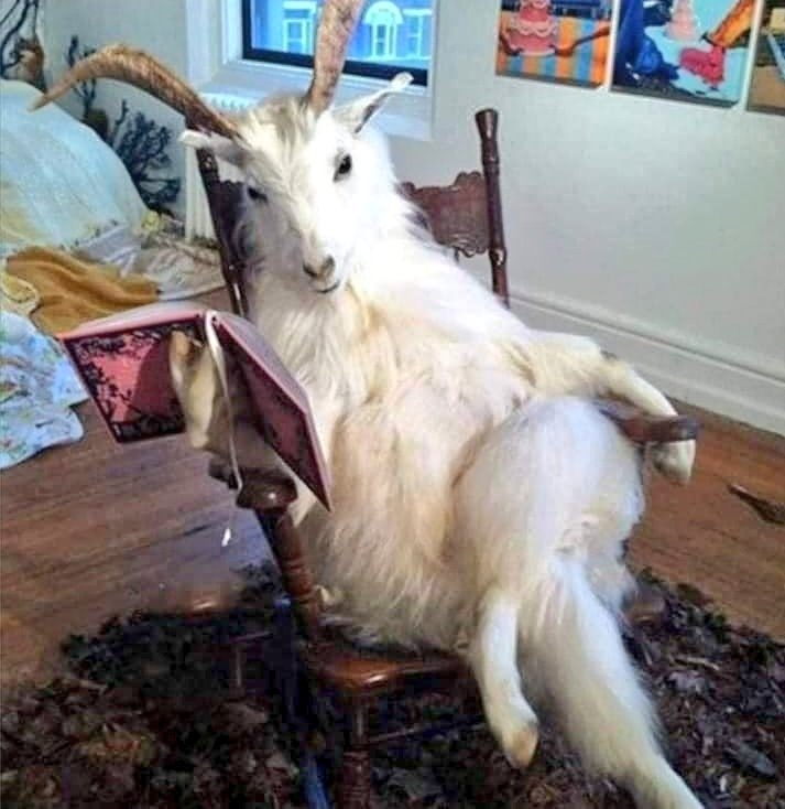 Chema_Ponze's tweet image. Cuando la gente te pide que les recomiendes buenas películas de terror porque saben que eres un experto.