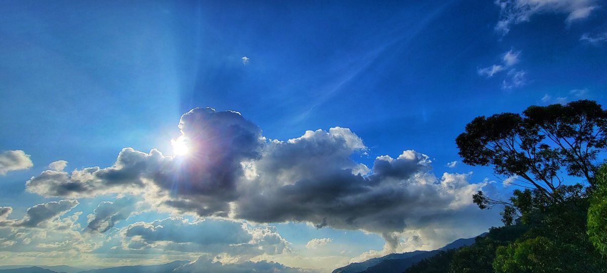 magxitoken's tweet photo. Gm twitter fam! Are you prepared for Wednesday?☀️🌞🧡💛 https://t.co/gfcQdYSYwn