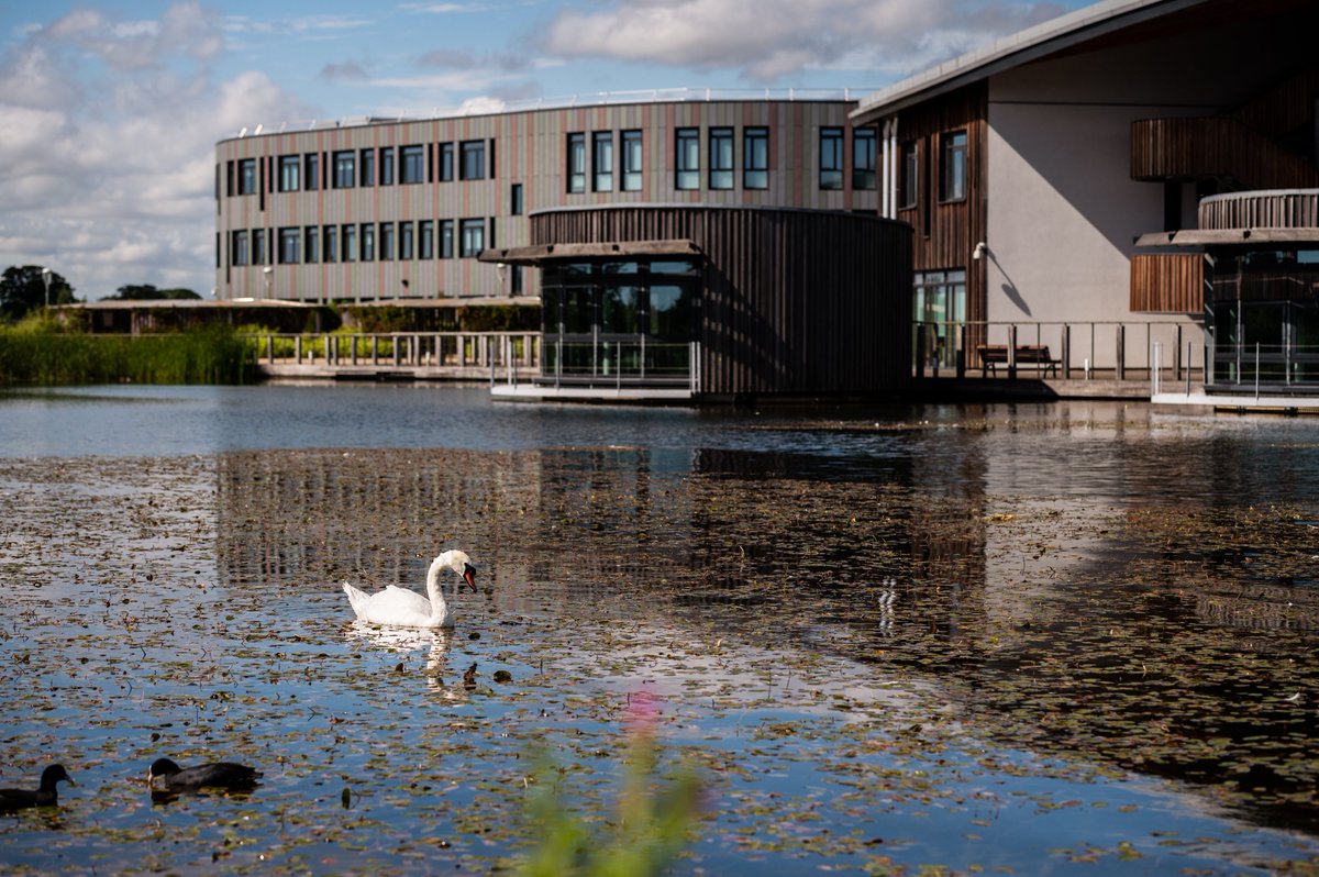 ResCultureUoY's tweet image. Do you have what it takes to become a Research Staff Liaison Officer?

We&apos;re looking for @UniOfYork Postdocs who can contribute 5-6 days a year to develop, support &amp;amp; liaise with our community of researchers. Honorarium provided.

Role spec &amp;amp; how to apply: bit.ly/YorkUniRSLOs