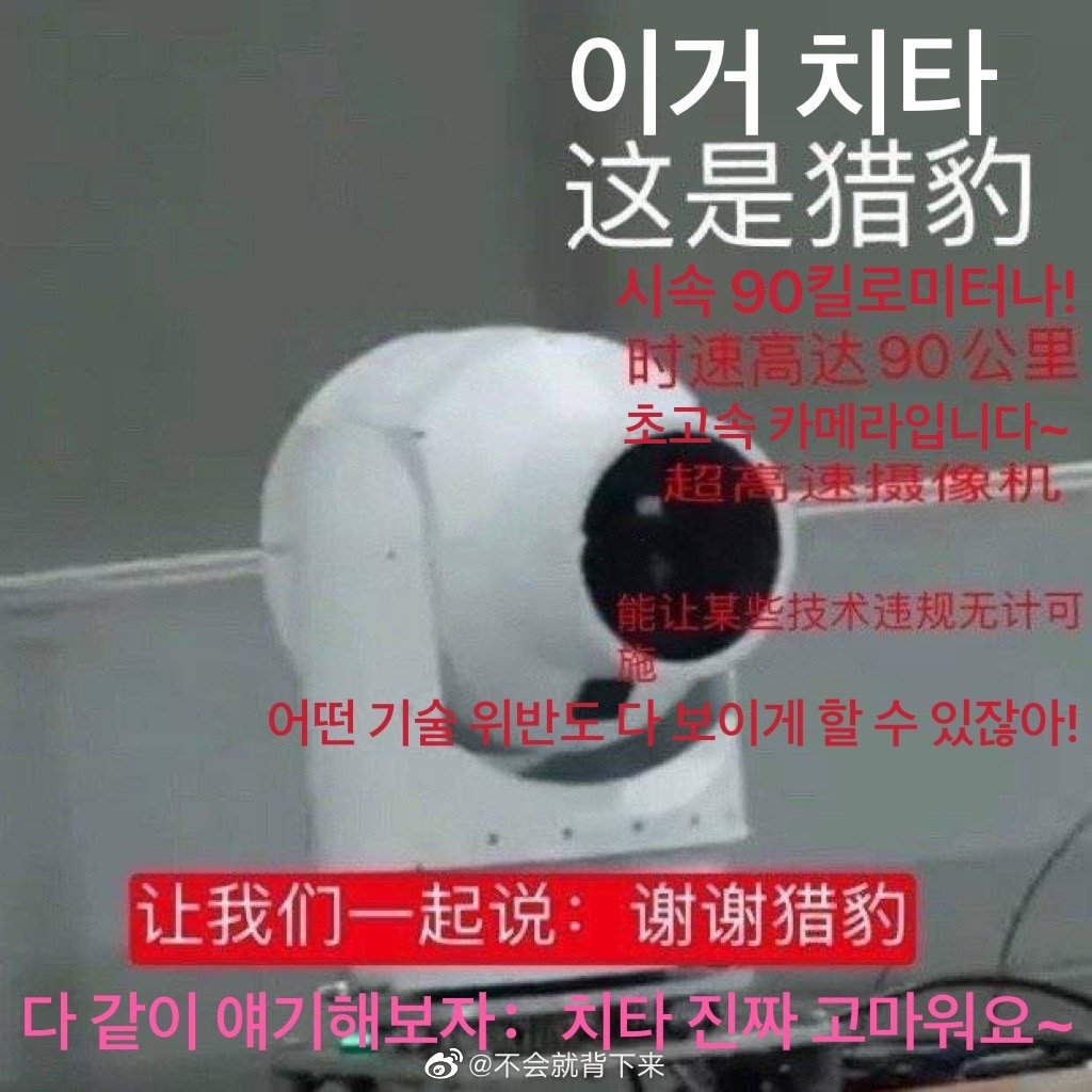墨怜 tweet media