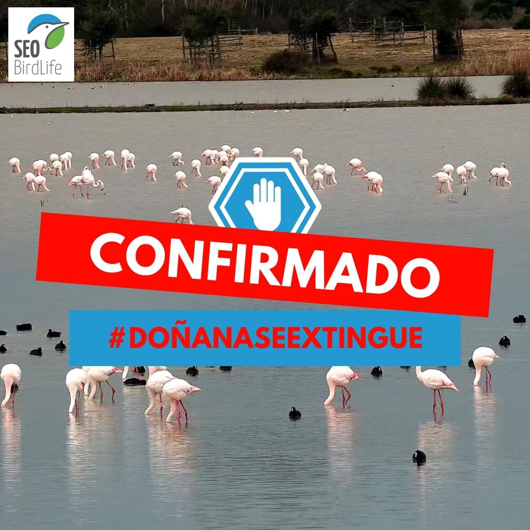‼️
Esta tarde, el <a href="/ParlamentoAnd/">Parlamento Andalucía</a> ha dado un paso más hacia la extinción de #Doñana admitiendo a trámite la Proposición de Ley para legalizar 1.900 ha de regadío en el entorno del Parque Nacional.
🤚#DoñanaSeExtingue
🔗seo.org/2022/02/08/ins…