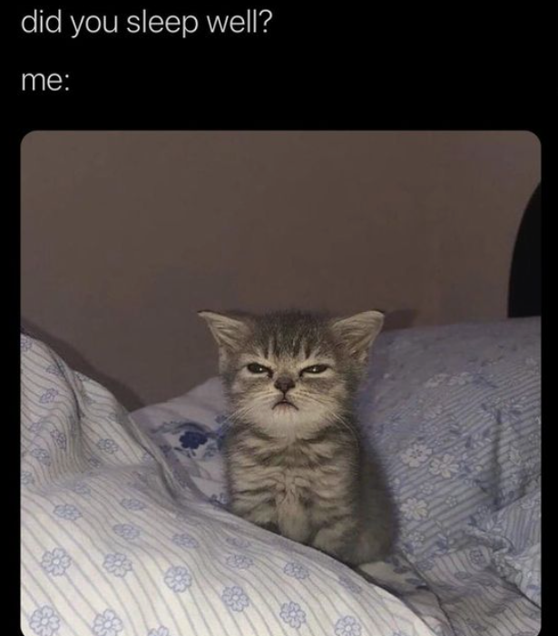 WholesomeMemes (@wholesomememe) on Twitter photo 