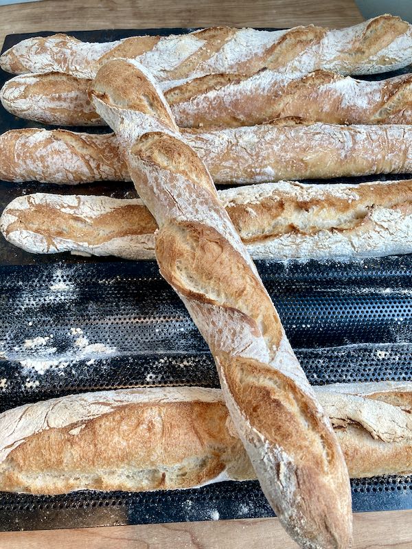 BreadBakerDani's tweet image. February Newsletter: Sign up for Bread Chat:setting up a microbakery, choose a bread making course, recipes and more - mailchi.mp/6d7c835bb3ec/f… #breadchat #microbakery #realbread