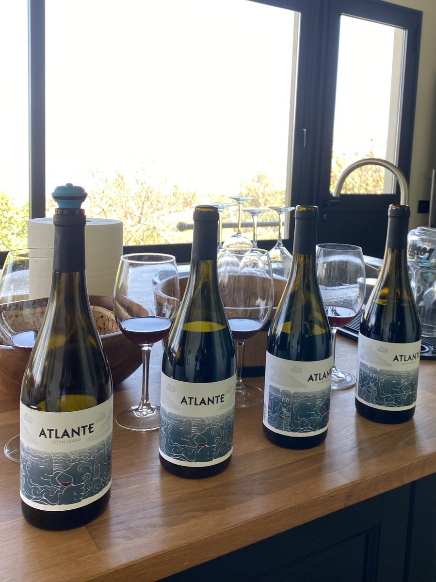 vingelist's tweet photo. ReVisiting Bodega Atlante after almost 3 years break. It was good to catch up with Jesus again & do a vertical tasting of his wonderful reds
#vingelist #raregrapes #cervim #heroicviticulture #canariwines #listannegro #wildyeast #sustainability @vinosatlante @dovalleorotava https://t.co/DqEn4pVO9w