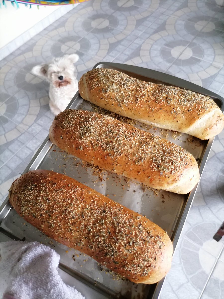 un_colibri_lila's tweet photo. El de hoy, orégano y queso parmesano, Arte ❤️ https://t.co/lDbZlhoTqU