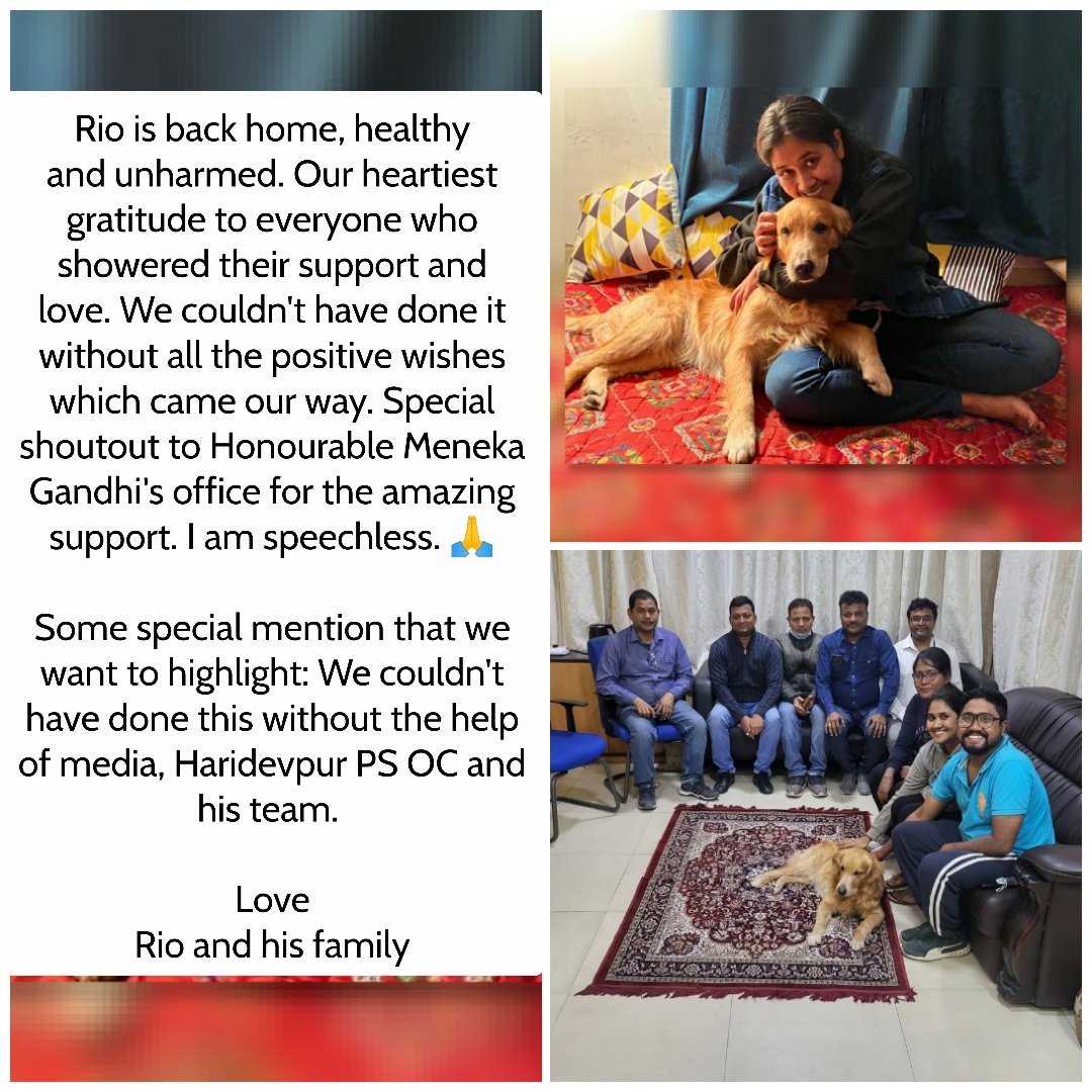 Our beloved Rio is back. <a href="/Zee24Ghanta/">zee24ghanta</a> <a href="/abpanandatv/">ABP Ananda</a> <a href="/Tv9_Bangla/">TV9 Bangla</a> <a href="/MyAnandaBazar/">anandabazar.com</a> <a href="/Ei_Samay/">Ei Samay</a> <a href="/tamaghnaTOI/">Tamaghna Banerjee</a> <a href="/KolkataPolice/">Kolkata Police</a> <a href="/Manekagandhibjp/">Maneka Sanjay Gandhi</a> <a href="/TOIIndiaNews/">TOI India</a>