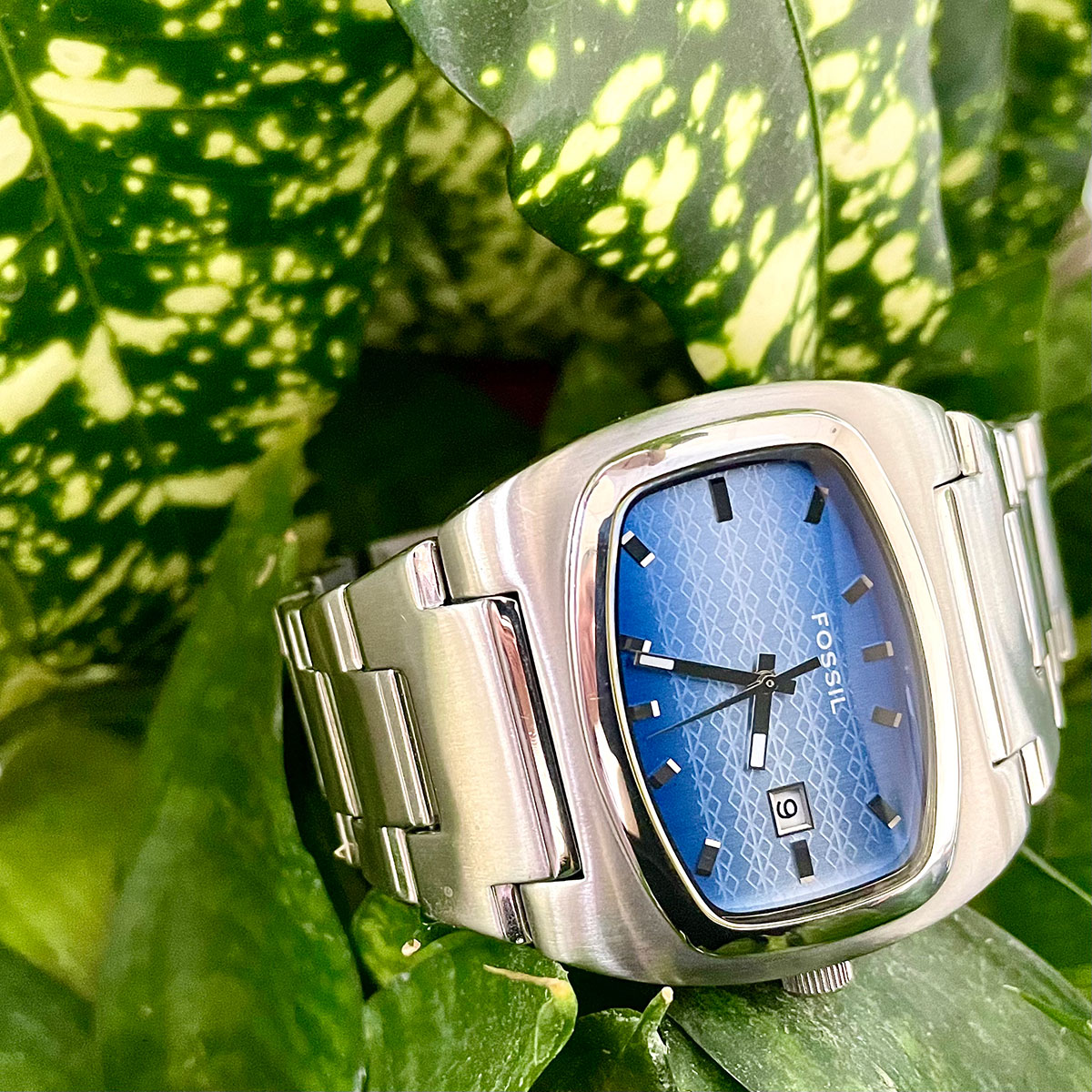 HardcupRU's tweet photo. Продажа: Fossil JR-8352
https://t.co/hl4049I1WU
«Телевизор» из нержавейки от Fossil. Прекрасное состояние. Циферблат выполнен  в градиентном стиле поверх которого нанесен ромбовидный узор. Индикатор даты. Корпус 40х40 мм. Литой браслет 20 см. Цена: 3500 руб.
#fossil #bluedial https://t.co/3MmSrAtJ0K