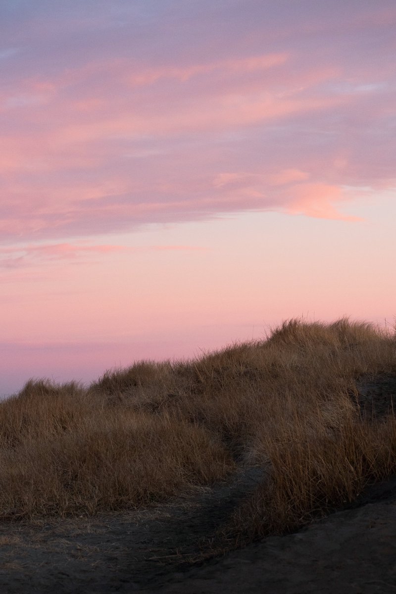 katiejmcgregorr's tweet photo. Beach Pastels https://t.co/dMR5P8eLdn