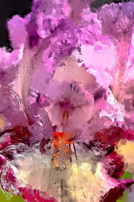 New artwork for sale! - 'Passionate about purple' - geri-scull.pixels.com/featured/passi… @fineartamerica