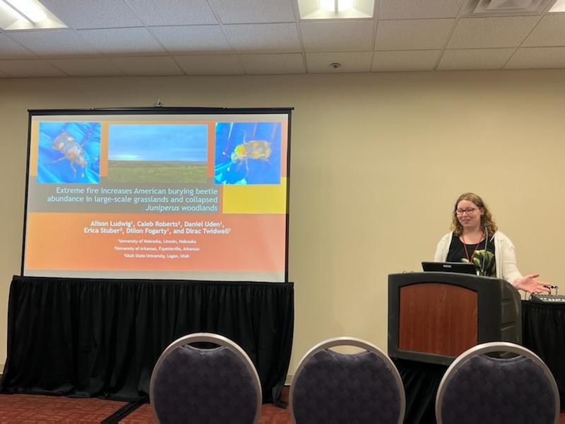 Alison Ludwig tweet media