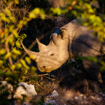 Photo by YWPFoundation (@YWPFoundation)