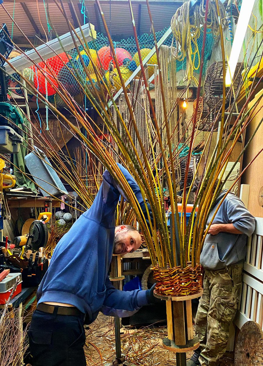 scillyniki's tweet photo. Winter withy/ tamarisk lobster making with Jof Hicks 🦞 #zeroplasticfishing #willow #tamarisk #lobsterpots  #islandlife #islesofscilly https://t.co/FrWabdpAJX
