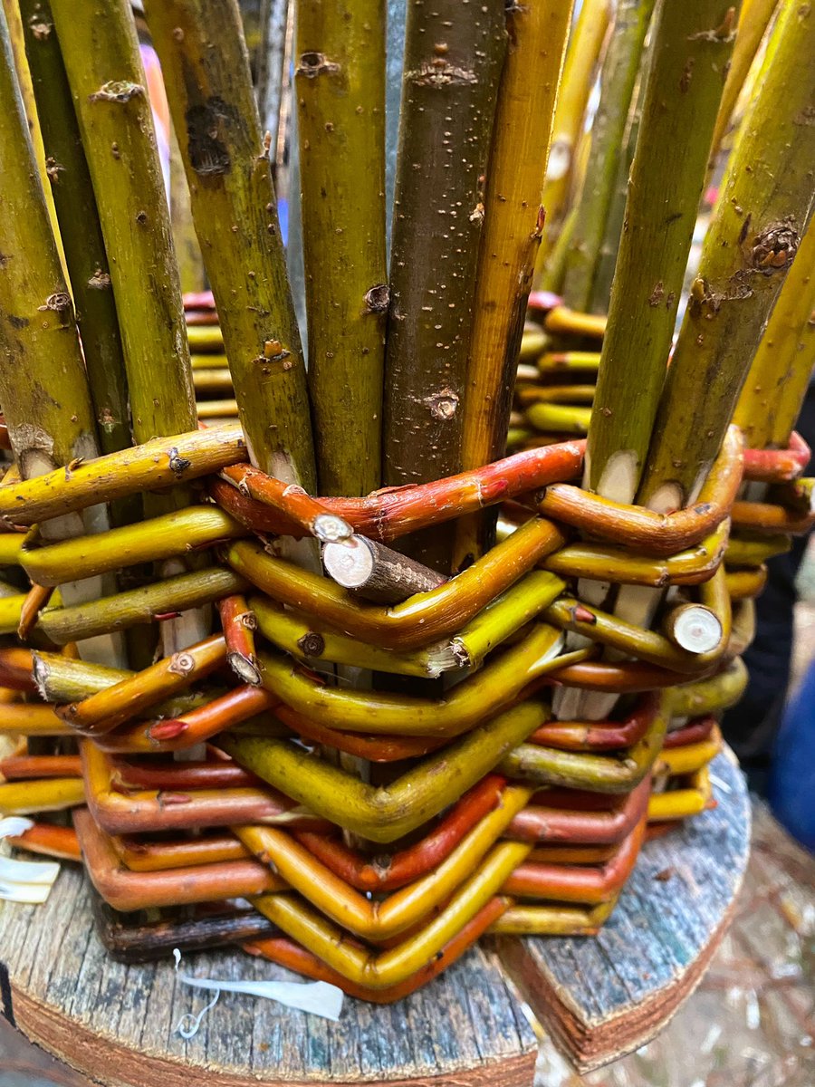 scillyniki's tweet photo. Winter withy/ tamarisk lobster making with Jof Hicks 🦞 #zeroplasticfishing #willow #tamarisk #lobsterpots  #islandlife #islesofscilly https://t.co/FrWabdpAJX