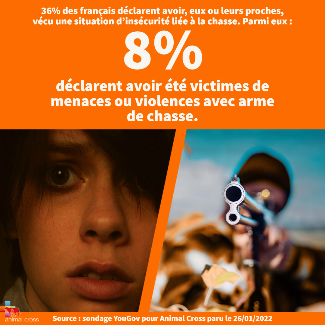 Animal Cross tweet media