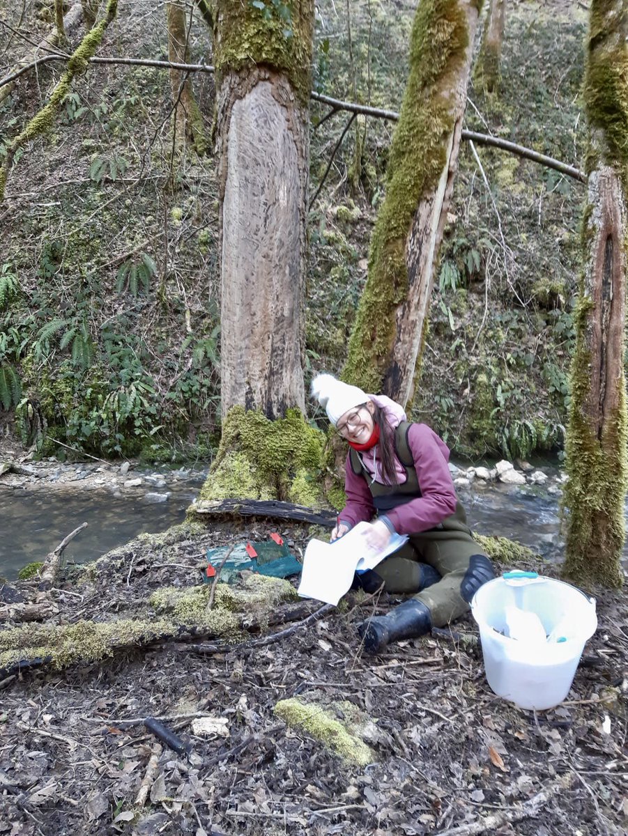 Silverthorn_T's tweet photo. Managed to catch some much needed sun rays ☀️ during our first campaign for @invasorian with @NaiaraLopezRojo @r_sarremejane ! Happy decomposition to the leaf packs we put along native/plantation forest riparian zones in the Albarine river network! 🍂 https://t.co/1dg7q1TXkt