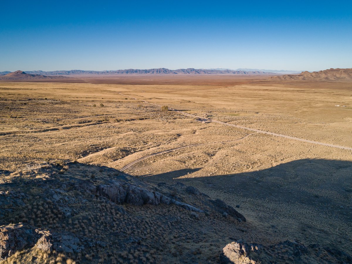 Dave Cawley tweet media