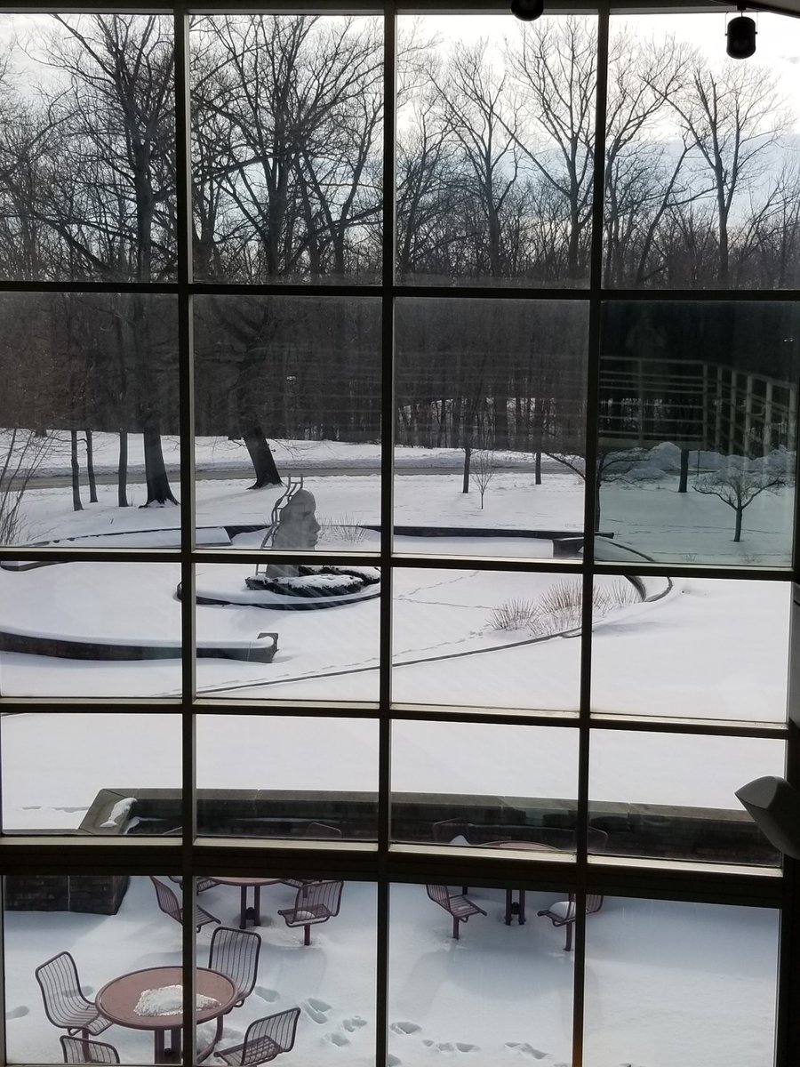 LCCBookstore's tweet photo. The best way to enjoy the snow is to look out at it from indoors- preferably with something warm to drink. What’s in your mug? Tell us in the comments!
#collegelife, #collegebookstore, #snowday, #hotcocoa, #favoritemug, #lccbookstore, #lakelandcc, #snow https://t.co/lbGrsZhh7S