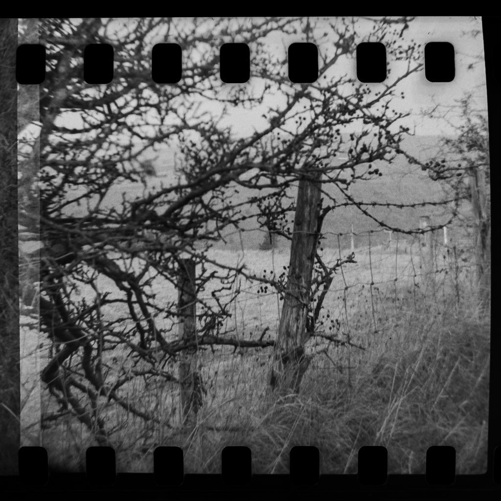 TobyVPhoto's tweet photo. @ShittyChallenge #GetMono here’s four images shot in a #BenciniComet #127format camera and #kentmere400 #35mmfilm https://t.co/gsK31DuKPv