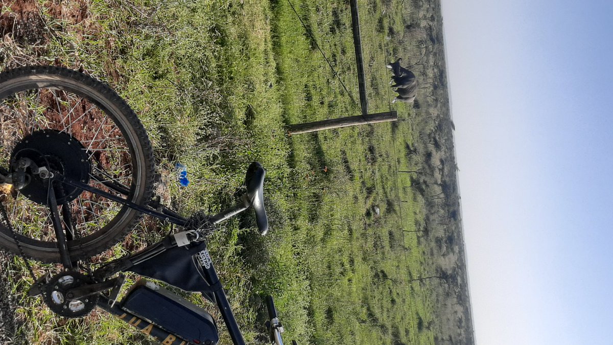 Kelvin Muchiri tweet media