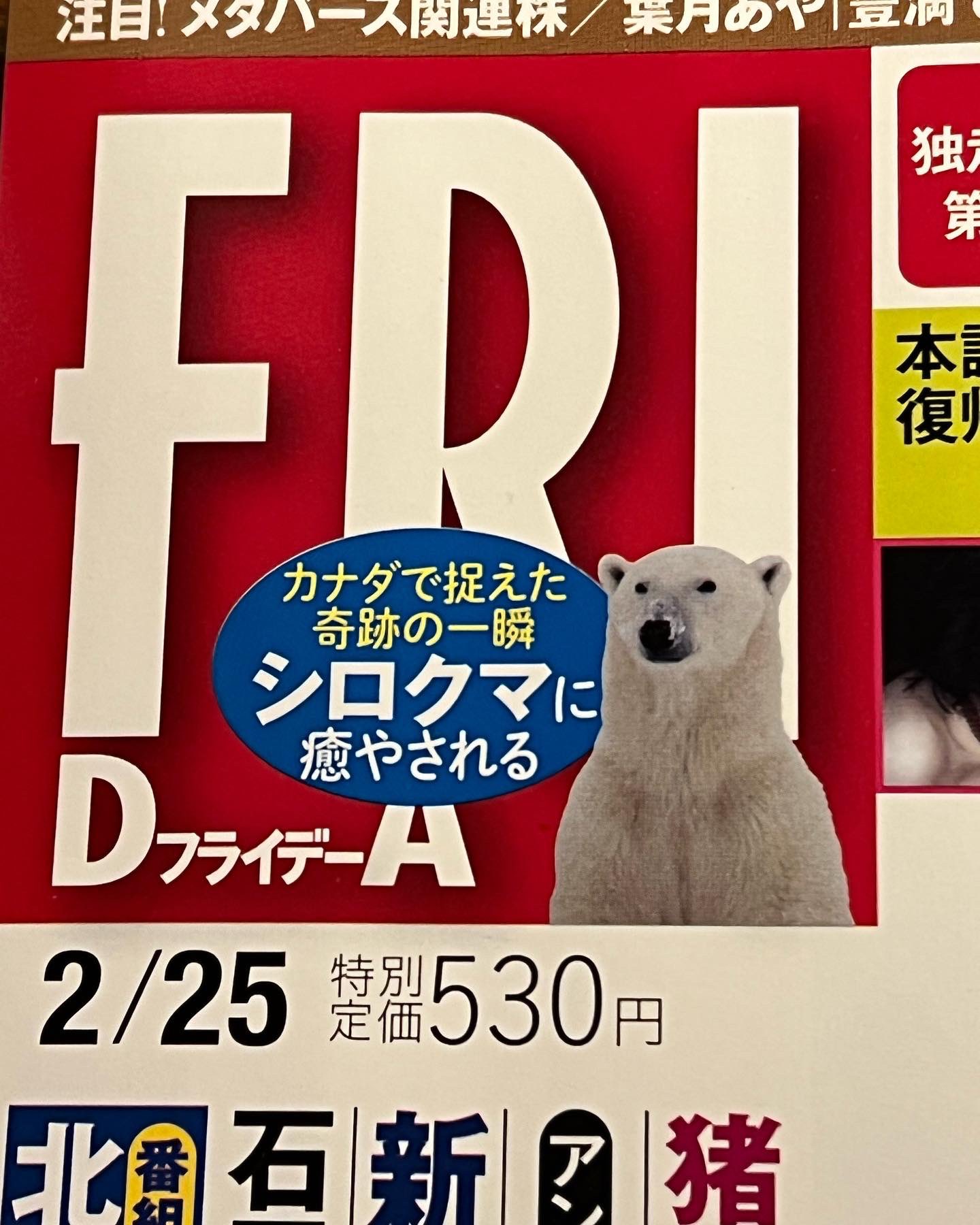 天部こゆき Amabekoyuki Twitter