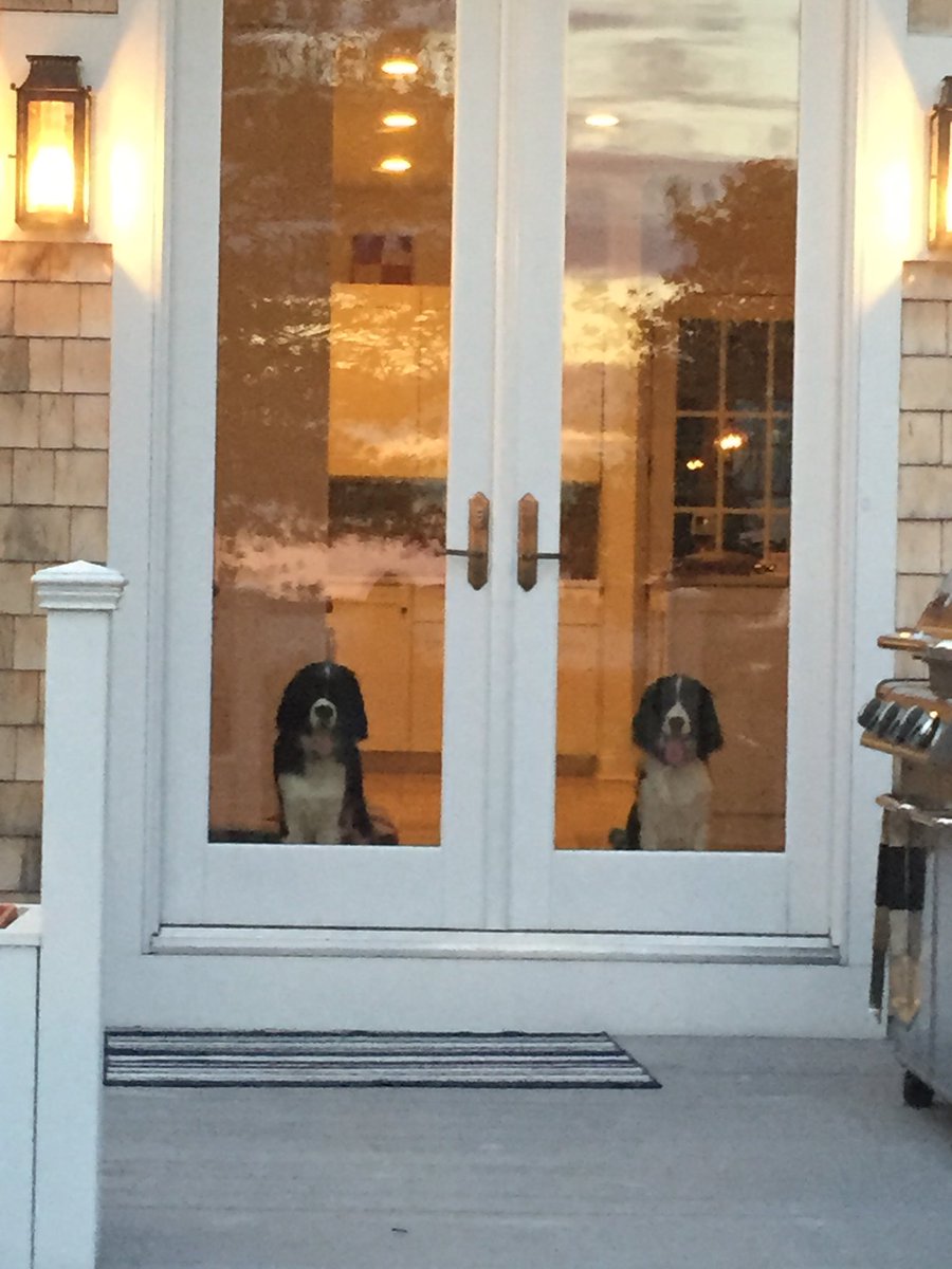 KesslerBarrie's tweet photo. @AudacityofGoats Dogs at the door! Love it. https://t.co/Cvqn8znKE7