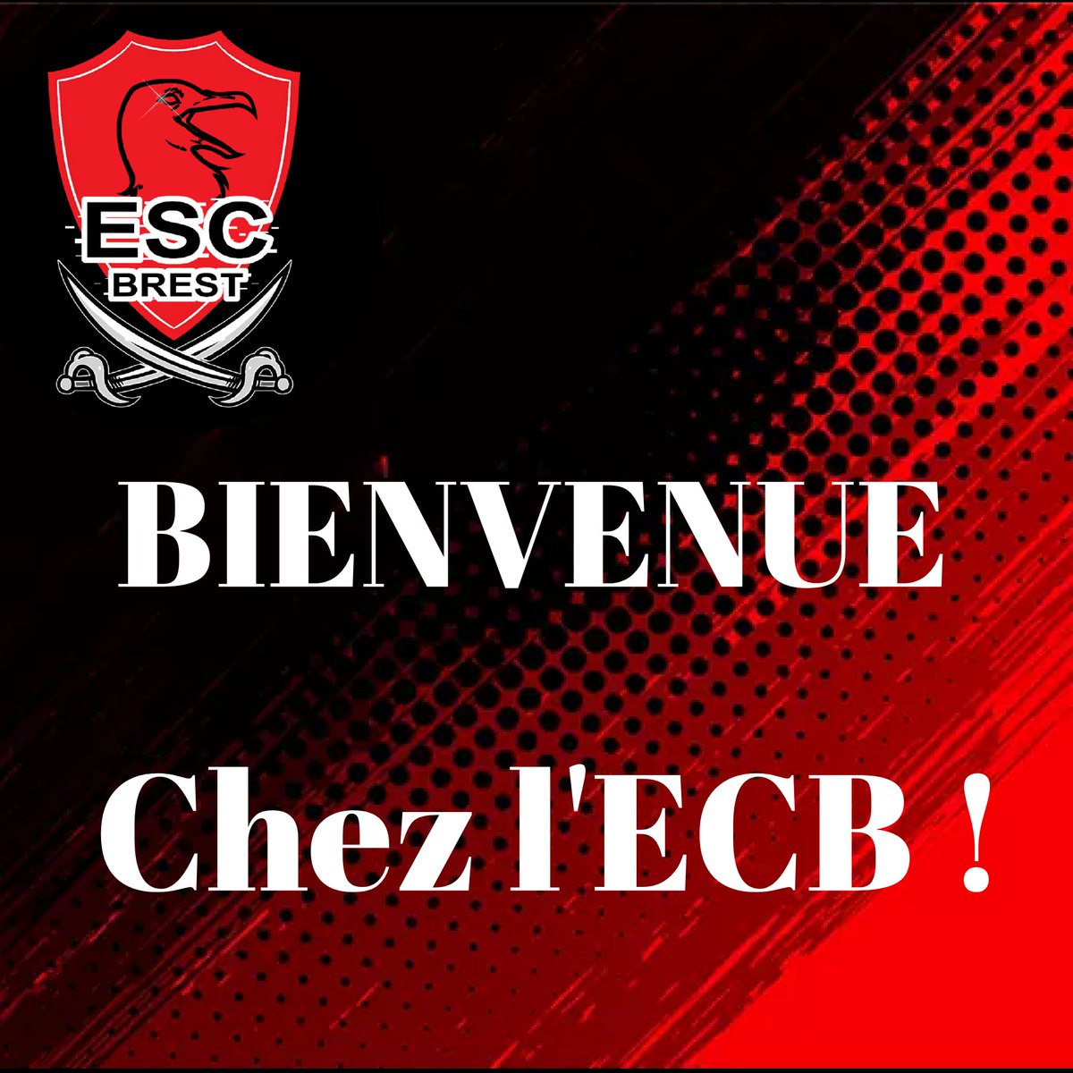 [#RECRUTEMENT] 

On est fière de vous présenter deux nouveaux streameurs qui vous divertiserons au quotidien.

<a href="/b3nLeBarbu/">Ben Le Barbu</a> (joueur fifa chez @ESCBrest_CPFIFA)

Et

<a href="/SleenEU/">Sleen</a>

Bienvenue à vous dans l'équipe les gars ! 😉⚪🔴