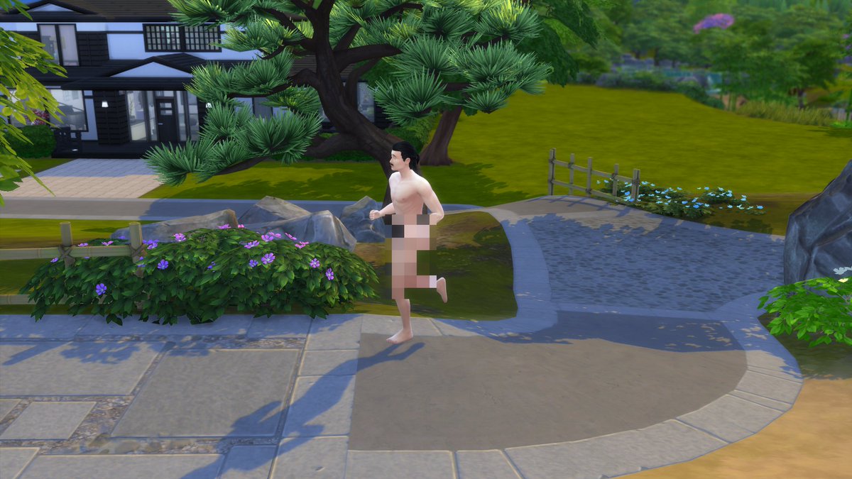 beaky_plays's tweet photo. Hey @TheSims, what's with all the people streaking/jogging nude? I mean I'm all for it but - ??? #TheSims4 #TheSims https://t.co/VPDiATlvpf