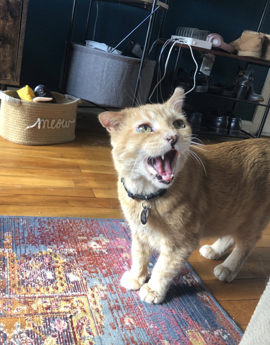 omg hi how are yuo !!!!!