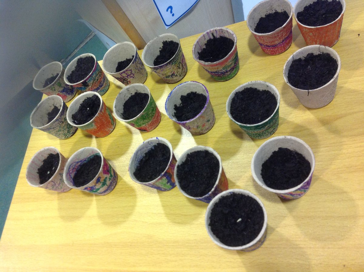 Yesterday we planted our own seeds. We will be observing them over the Spring and Summer term to help educate us in knowing that we all grow and develop at different points, shapes and sizes. We are all unique individuals 😊#ChildrensMentalHealthWeek